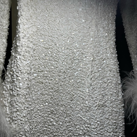 Long Sleeved Sequin Mini Dress w/ Feather Trim - Picture 8 of 12